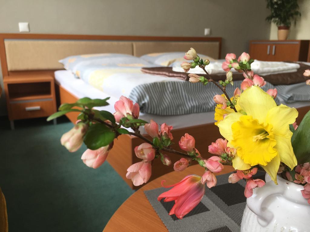 Apartman Darmon 피에슈타니 외부 사진